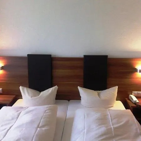 Отель Wasgau 3*