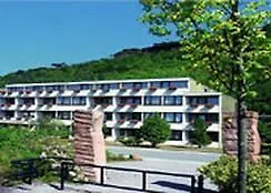 Wasgau هاونستين