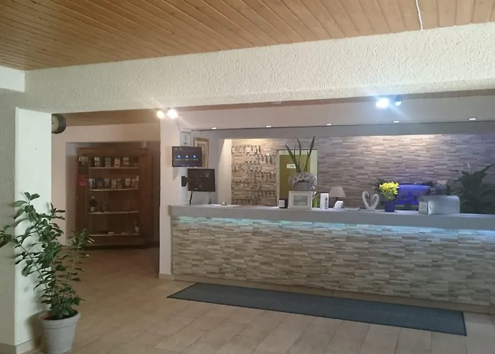 Wasgau Отель 3*